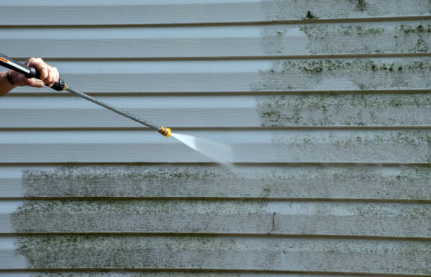 Best Driveway Pressure Washing  in Stonebridge, NJ